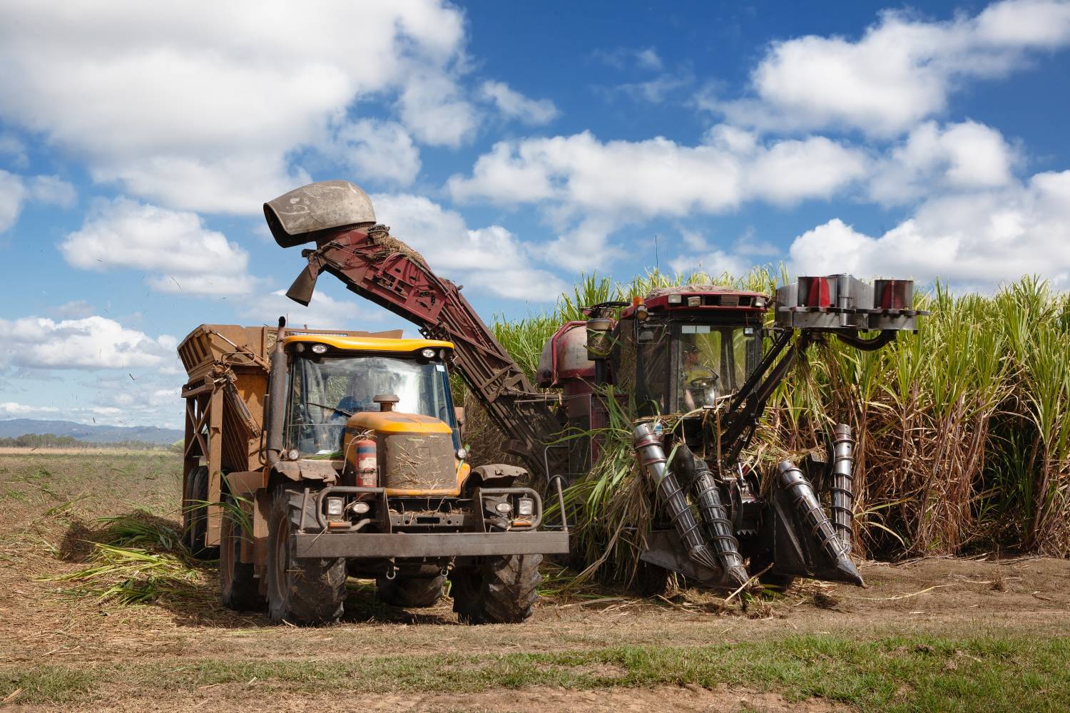 SLC Agrícola Conclui Aquisição da Sierentz Agro Brasil Ltda